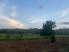 160 Perch Land for Sale Monaragala