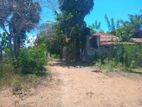 160 Perch Land for Sale Panama