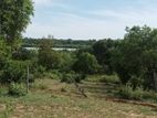 160 Perch Land for Sale Panama
