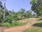 160 Perch Land for Sale Piliyandala