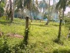 160 Perch Land with 45 Coconut Trees - Wariyapola,Bamunakotuwa