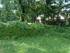 160 perches Land for sale in Panadura