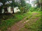 160 Perches Land with a house For Sale in Raddolugama (SSPL-465)