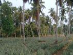 160 Perches of land for sale in Udugampola