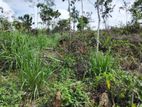 160 Perches Scenic Land for Sale in Kananke Matara