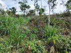 160 Perches Scenic Land for Sale in Kananke, Matara