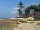 160P On the Beach Land for sale in Mirissa Rs. 1,350,000 (PP) – CVVV-A3