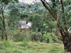 16.25 Perches Land for Sale in Isuru Uyana, Kinigama, Bandarawela