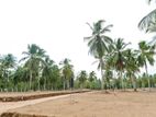 16.33p Bare land for Sale in Uhumiya