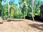 16.3P Paddy Field Facing Bare Land For Sale In Thalawathugoda
