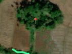 164 Perch Island for Sale ANGULUGAHA - Galle