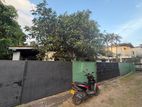 16.4 Perch Land for Sale - Ratmalana