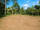 164 Perches of Valuable Land for Immediate Sale in Pannala.