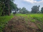 165 Perch / 1 Acre Bare land for sale in Kurunegala