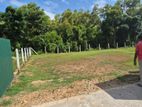 16.5 Perch Land for Sale Kadirana