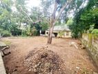 16.50P Commercial Bare Land For Sale In Nawala