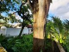 16.50P High Residential Property For Sale in Rajagiriya Garden
