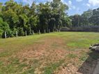 16.5perch land for sale towerside ,Negombo