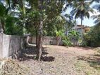 16.6 perches land sale in Kandana