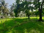 166.16 Perch Prime land for sale in Bopitiya (C7-5771)