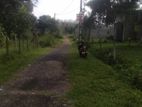 16p Bare Land for Sale in Embulagama Road, Panagoda (SL 14044)