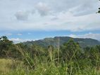 17 Acres Land For Sale in Hanthana - Kandy