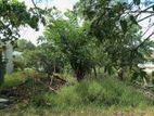 17 Perches Land for Rent in Athurugiriya