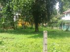 17 Perches Land For Sale In Battaramulla