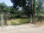 17 Perches Land for Sale in Kadawatha