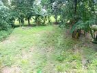 17 Perches of Land for sale in Kubaloluwa, Nittambuwa.