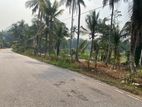 170 P Commercial/ Residential Land Facing Main Rd & Paddy field