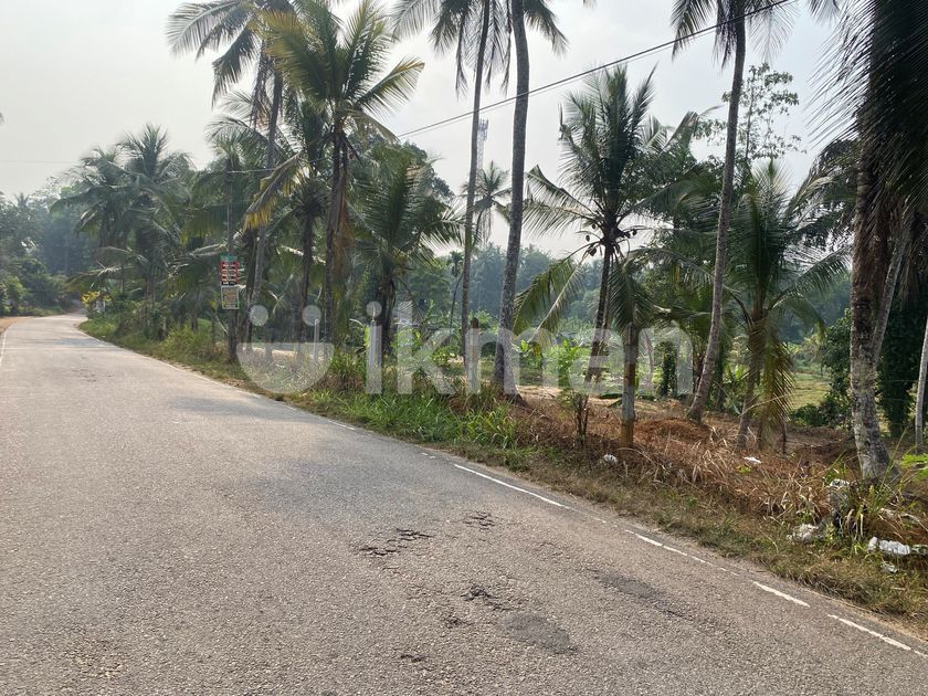 Main Rd Photo 2000 170 P Residential Land Facing Main Rd Paddy field | ikman