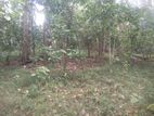 170 Perches Land for Sale Kandy
