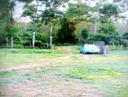 171 Perch Land Hanwella