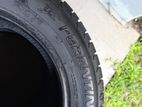 175/65/15 Tyres