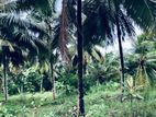 1.75 ac Coconut Land for Sale in Mahakumbukkadawala