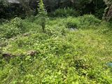 17.5 Perch Bare Land for Sale in Thalawathugoda - CVVV-A1