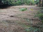 17.5 Perch Rectangle Land for Sale Homagama–hanwella Road