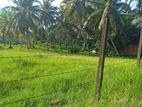 176 Perches land for sale in Church Road, Pamunugama, Kadana (C7-9928)
