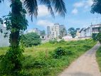 17P Superb Land at Weera Mawatha, Kalalgoda Rd, Thalwathugoda