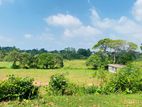 17P Superb Land Overlooking Paddy Field at Pubudu Mawata, Mattegoda