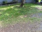 18 p 11 9 blocks Katubedda Land for sale 50 meters