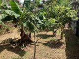 18 Perch Land for Sale in Pannipitiya