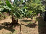 18 PERCH LAND FOR SALE in PANNIPITIYA