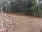 18 perches bare land for sale in Horana