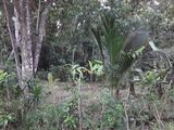 18 Perches Land for Sale in Kamburugamuwa- Matara