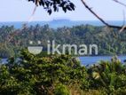 180 P Tourism Land for Sale In Mawella -Tangalle CGGG-A1