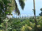 180 P Tourism Land for Sale In Mawella -Tangalle CGGG-A1