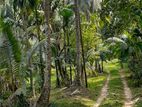 180 Perches Land for Sale in Delgoda (SSPL-231)