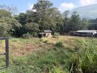 180 Perches Land for Sale in Rakwana Town